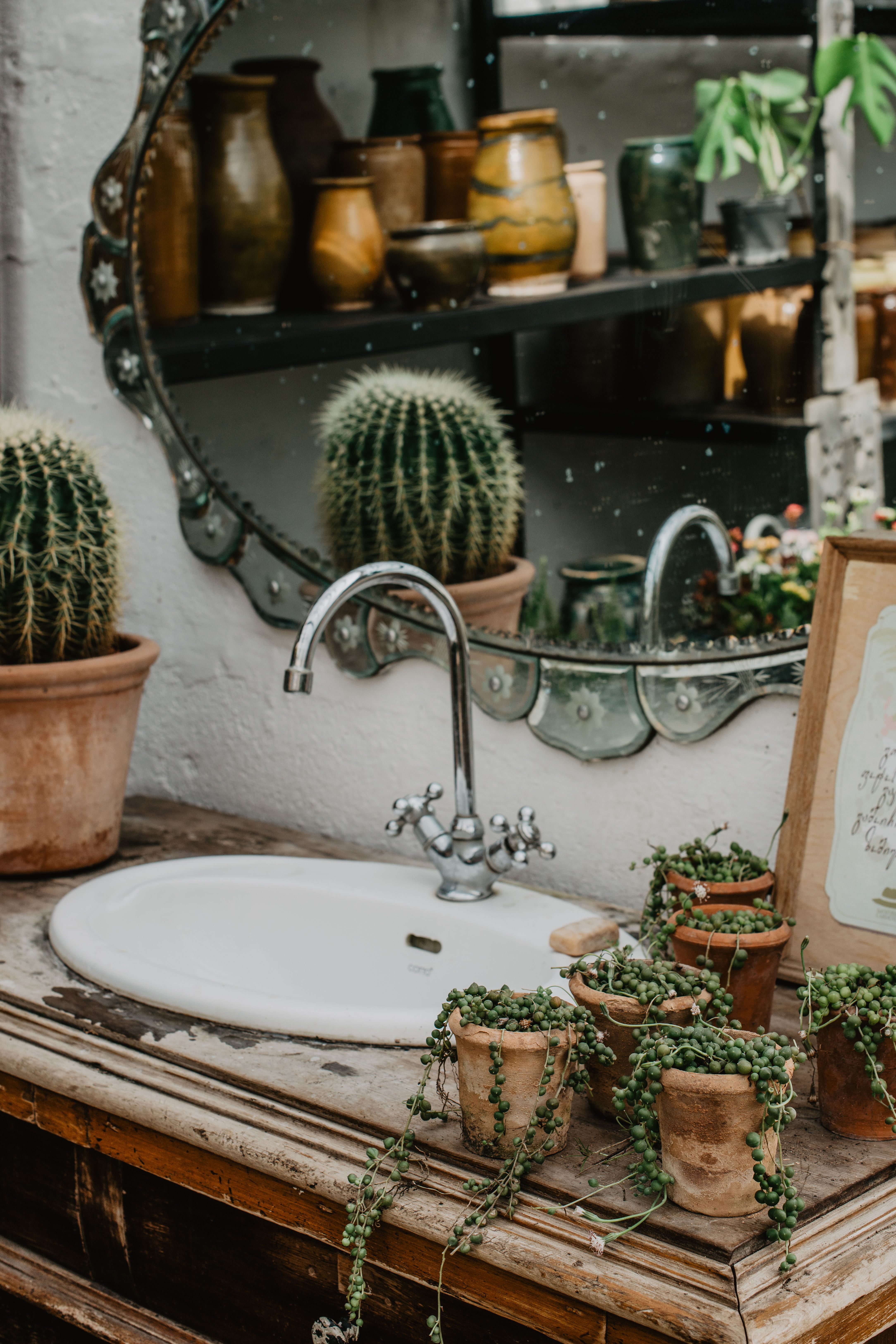 Organic bathroom