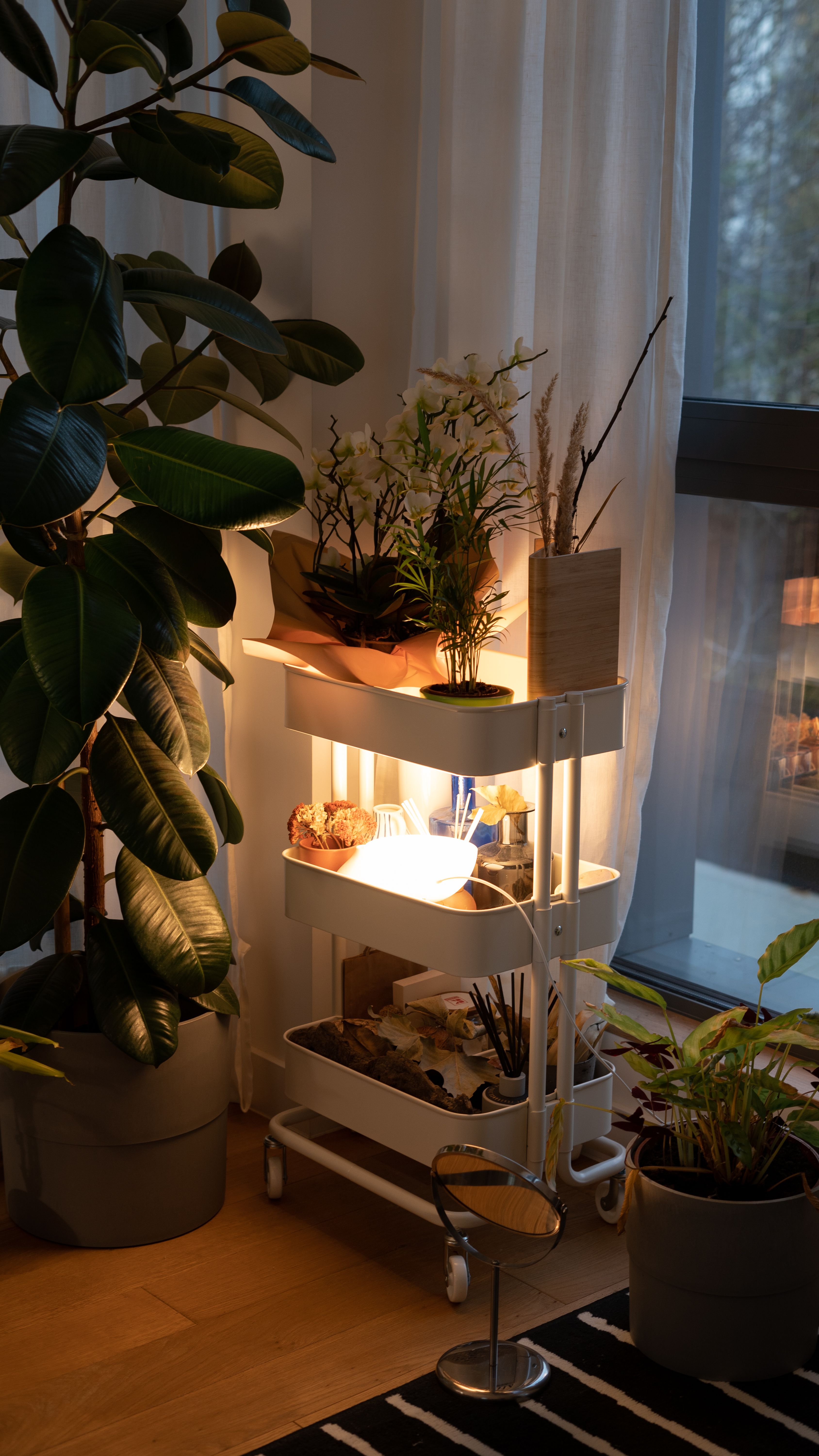 Organic living room with greenery and daylight